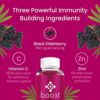 Boost Premium Elderberry Gummies with Zinc (60ct) | Zinc & Vitamin C Elderberry Gummies for Adults | Non-GMO, Vegan Sambucus Black Elderberry Gummy Vitamins - Image 4