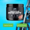 STS Anabolic Intensity Pre Workout. with B6, B12, Beta Alanine and Caffeine for Intense Pumps, Energy and Stamina Without a Crash. 25 - Servings - Image 6