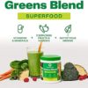 Amazing Grass Greens Blend Superfood: Super Greens Powder Smoothie Mix with Organic Spirulina, Chlorella, Beet Root Powder, Digestive Enzymes & Probiotics, Original, 60 Servings - Image 3