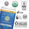 Sunwarrior Vegan Protein Powder with BCAA | Organic Hemp Seed Protein Gluten Free Non-GMO Dairy Free Soy Sugar Free Low Carb Plant Based Protein Powder | Chocolate 32 SRV 800 G | Warrior Blend - Image 3