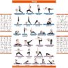 Workout Posters Gym Posters Exercise Posters for Home Gym Yoga Posters Wall Charts Body Shred Resistance Band Fitness Weight-loss Charts 17.4 x 26.6" - Image 2