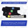 THERABAND Stretch Strap with Loops to Increase Flexibility, Dynamic Stretching Tool for Athletes Including Dancers, Cheerleaders, Gymnasts, Runners, Pilates and Yoga Elastic Stretch Out Band - Image 2