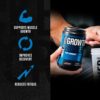 Jacked Factory Growth Surge Creatine Post Workout - Muscle Builder with Creatine Monohydrate, Betaine, L-Carnitine L-Tartrate - Daily Muscle Building & Recovery Supplement - 60 Servings, Swoleberry - Image 3