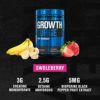 Jacked Factory Growth Surge Creatine Post Workout - Muscle Builder with Creatine Monohydrate, Betaine, L-Carnitine L-Tartrate - Daily Muscle Building & Recovery Supplement - 60 Servings, Swoleberry - Image 2