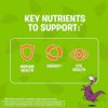 Flintstones Gummies Kids Vitamins with Immunity Support*, Kids and Toddler Multivitamin with Vitamin C, Vitamin D, B12, Zinc & more, Orange 150ct - Image 4