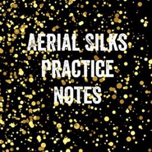 Aerial Silks Practice Notes Aerial Silks: Notebook for Coaching Tips and Goal Setting - Pocket Edition (The Pocket Coach Journal Series) (gold glitter Version 5)