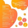 BeLive Turmeric Curcumin with Black Pepper & Ginger - 60 Gummies I Turmeric and Ginger Supplement for Immune Support, Healthy Skin and Fights Inflammation, Vegan Joint Supplement - Tropical Flavor - Image 2