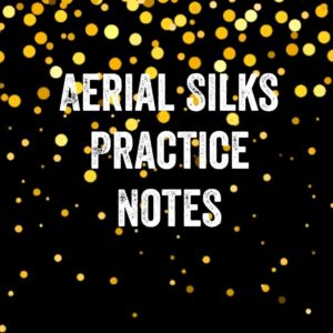 Aerial Silks Practice Notes Aerial Silks: Notebook for Coaching Tips and Goal Setting - Pocket Edition (The Pocket Coach Journal Series) (gold glitter Version 4)