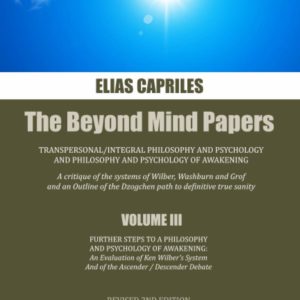 Further Steps to a Philosophy and Psychology of Awakening: An Evaluation of Ken Wilber’s System and of the Ascender / Descender Debate (The Beyond ... and Philosophy and Psychology of Awakening)