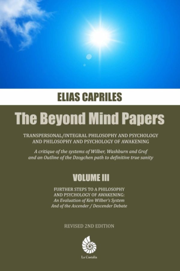 Further Steps to a Philosophy and Psychology of Awakening: An Evaluation of Ken Wilber’s System and of the Ascender / Descender Debate (The Beyond ... and Philosophy and Psychology of Awakening)