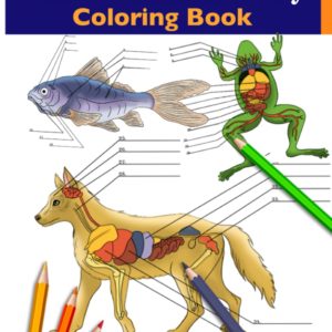 Animal Anatomy Coloring Book: Incredibly Detailed Self-Test Veterinary Anatomy Color workbook | Perfect Gift for Vet Students & Animal Lovers