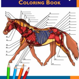 Horse Anatomy Coloring Book: Incredibly Detailed Self-Test Equine Anatomy Color workbook | Perfect Gift for Veterinary Students, Horse Lovers & Adults