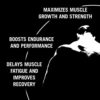 Animal Micronized Creatine – Delay Muscle Fatigue, Enhance Endurance, Boost Strength – Creatine Monohydrate Supplement for Men & Women – 500g - Image 6
