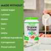 Orgain Organic Vegan Protein Powder, Strawberries & Cream - 21g of Plant Based Protein, Low Net Carbs, Gluten/ Lactose Free, No Sugar Added, Soy Free, Non-GMO, 2.03 Lb - Image 5