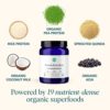 Ora Organic Vegan Protein Powder - 22g Plant Based Protein Powder for Women and Men | Keto Friendly, Gluten Free, Paleo, Dairy-Free, Gluten-Free, Soy-Free - Chocolate Flavor, 20 Servings - Image 4