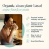 Ora Organic Vegan Protein Powder - 22g Plant Based Protein Powder for Women and Men | Keto Friendly, Gluten Free, Paleo, Dairy-Free, Gluten-Free, Soy-Free - Chocolate Flavor, 20 Servings - Image 3