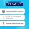 BodyTeach Creatine and Glutamine with Beta Alanine Fruit Punch Supports Muscle Growth, Recovery and Immune Health (12.6 Ounce Powder) - Image 4