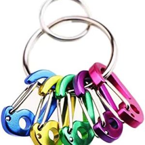 Small Keychain Clips Mini Carabiner - Micro Tiny Small Auto Locking D-Shape Spring Loaded Wire Gate