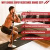 COFOF Resistance Bands Set with Handles, Exercise Bands Workout Bands Fitness Bands with Door Anchor, Legs Ankle Straps for Resistance Training，Physical Therapy，Home Gym Workout - Image 2