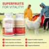 Fruits and Veggies Supplement - Fruits and Veggies Gummies (120 Chews), 9 Superfruits & 30 Veggies, Fruit & Herbs, Fruit and Vegetable Vitamins, Non-GMO, Pectin-Based, Gluten-Free, No More Capsules - Image 6