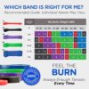 Pull Up Assistance Bands, Stretch Resistance Band for Men & Women, Exercise Bands for Home Workouts Resistance Training Physical Therapy Powerlifting Body Stretching - Image 5