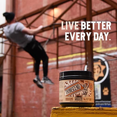 Earth Fed Muscle Transcend Creatine Monohydrate - 100% German Creapure, Muscle Recovery, Muscle Building, Cellular Energy Production - Gluten Free, Soy Free - Unflavored 5g per Serving, 60 Servings - Image 9