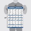 Palace Learning 4 Pack - Dumbbell Workouts + Bodyweight Workouts + Kettlebell Workouts + Resistance Bands - Set of 4 Workout Charts (18” x 24”, LAMINATED) - Image 2