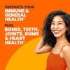 Sundown Vitamin C Gummies with Rosehips, Citrus Bioflavonoids, Non-GMO, Dairy-Free, Gluten-Free, Vegetarian, 90 Count - Image 2