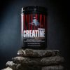 Animal Micronized Creatine – Delay Muscle Fatigue, Enhance Endurance, Boost Strength – Creatine Monohydrate Supplement for Men & Women – 500g - Image 2