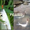 Toasis Fishing Bait Rigs Feather Hooks Assorted Size 10pack - Image 7