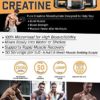 250g Micronized Creatine Monohydrate Powder - Muscle Builder Supplement - Non-GMO - Packaging May Vary. - Sheer Strength Labs - Image 2