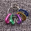 Small Keychain Clips Mini Carabiner - Micro Tiny Small Auto Locking D-Shape Spring Loaded Wire Gate - Image 6