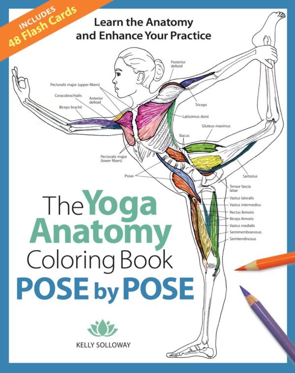 Pose by Pose: Learn the Anatomy and Enhance Your Practice (Volume 2) (The Yoga Anatomy Coloring Book)