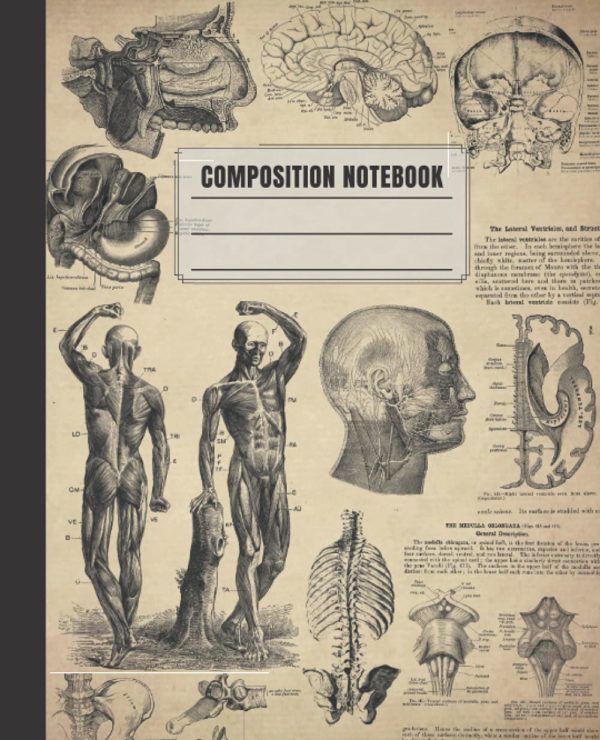 Vintage Human Anatomy Composition Notebook: College-Ruled Book, 110 Pages For Students, Large Size 7.5 x 9.25, Antique Human Anatomy Illustrations Gift