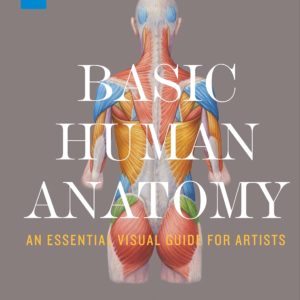 Basic Human Anatomy: An Essential Visual Guide for Artists