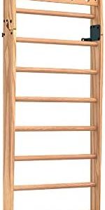 NOHrD by WaterRower Wall Bars (10)