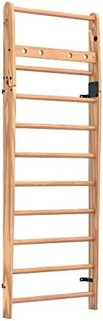 NOHrD by WaterRower Wall Bars (10)