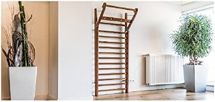 NOHrD by WaterRower Wall Bars (10) - Image 5