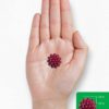 Elderberry Gummies for Kids | 120 Count | Zinc and Vitamin C | Natural Berry Flavor | Vegan, Non-GMO, and Gluten Free | by Lil' Sprouts - Image 7