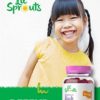Elderberry Gummies for Kids | 120 Count | Zinc and Vitamin C | Natural Berry Flavor | Vegan, Non-GMO, and Gluten Free | by Lil' Sprouts - Image 6