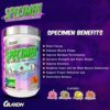 Glaxon Specimen High Stimulant Pre Workout Powder, Preworkout with 300mg Caffeine and 3200mg Beta Alanine Per Serving for Workout-Dominating Energy, Focus, and Pump (Watermelon Ice) - Image 3