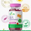 Elderberry Gummies for Kids | 120 Count | Zinc and Vitamin C | Natural Berry Flavor | Vegan, Non-GMO, and Gluten Free | by Lil' Sprouts - Image 5