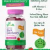Elderberry Gummies for Kids | 120 Count | Zinc and Vitamin C | Natural Berry Flavor | Vegan, Non-GMO, and Gluten Free | by Lil' Sprouts - Image 3