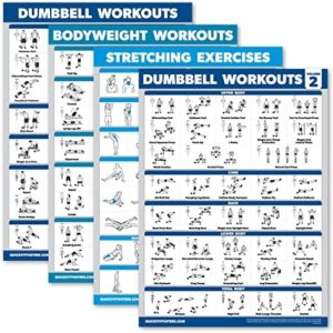 Palace Learning 4 Pack - Dumbbell Workouts + Bodyweight Workouts + Stretching Exercises + Dumbbell Vol 2 - Set of 4 Workout Charts (18” x 24”, LAMINATED)