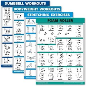 Palace Learning 4 Pack - Dumbbell Workouts + Bodyweight Workouts + Stretching Exercises + Foam Roller - Set of 4 Workout Charts (18” x 24”, LAMINATED)