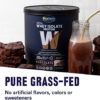 Biochem 100% Whey Isolate Protein - Chocolate -- 30.9 oz - Image 4