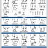 Palace Learning 4 Pack - Dumbbell Workouts + Bodyweight Workouts + Stretching Exercises + Dumbbell Vol 2 - Set of 4 Workout Charts (18” x 24”, LAMINATED) - Image 6