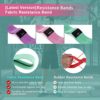 Resistance Bands Exercise Workout Bands Set for Women and Men, 5 Pcs Fitness Bands, Gym Stretch Bands with Instruction Guide and Carry Bag - Image 2