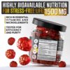 Ashwagandha Gummies by Noble Nutrition - with Organic Ashwagandha Root - Mood Boost, Immune Support, and Energy Increase Ashwagandha Supplements - 60 Gummies - Image 2