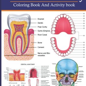 Dental Anatomy Coloring Book And Activity Book: A Dental Anatomy And Physiology Coloring Book For Dental Students To Know More Basic Magnificent Learning Structure At Dental Anatomy